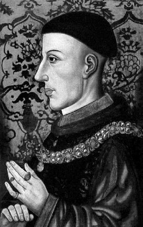 Сборник - Папоротники