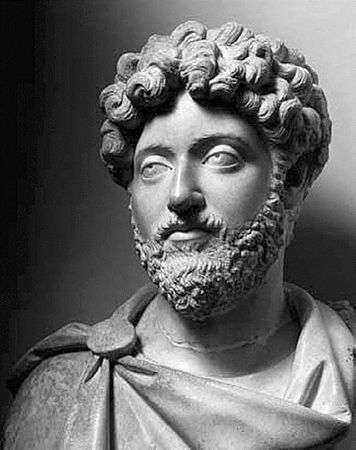 Сборник - Папоротники