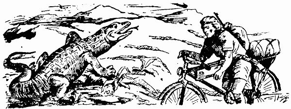 Александр Харитановский - Человек с железным оленем