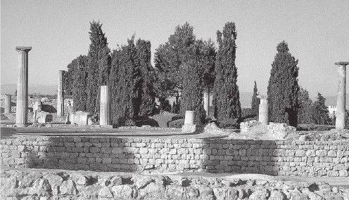 Владимир Миронов - Древний Восток и Азия