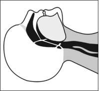 Владимир Давыдов - Безопасность на воде и оказание помощи пострадавшим