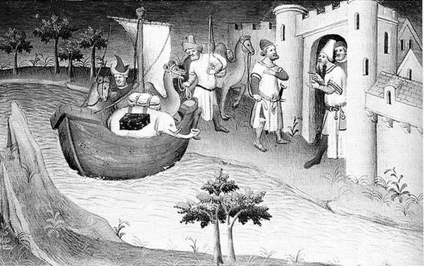 Сборник - Папоротники