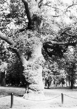 Сборник статей - Прогулки по Москве