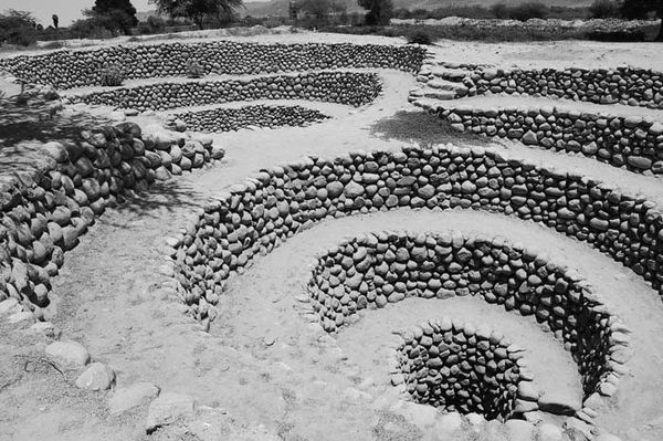 Андрей Скляров - Наска: гигантские рисунки на полях