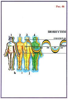 Николай Левашов - Сущность и Разум. Том 1
