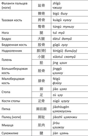 Дина Крупская - Лестница в небо, или Китайская медицина по-русски