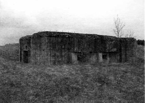 Дмитрий Егоров - 1941. Разгром Западного фронта