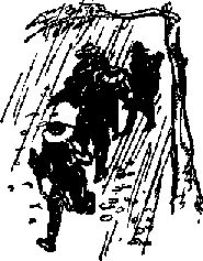 Аркадий Фидлер - Тайна Рио де Оро