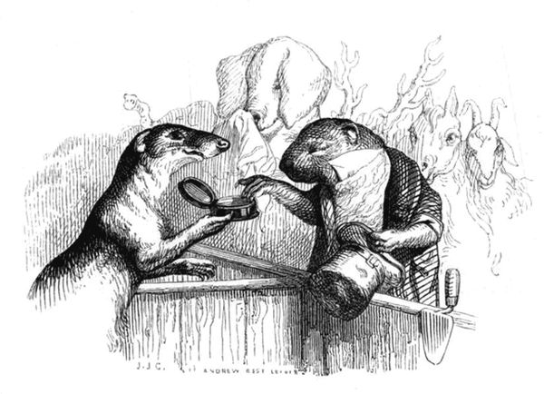 Коллектив авторов - Сцены частной и общественной жизни животных