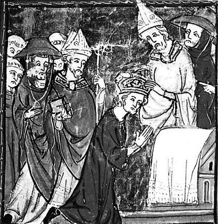 Сборник - Папоротники