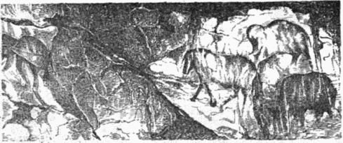 Геральд Матюшин - Историческое краеведение