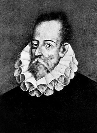 Сборник - Папоротники