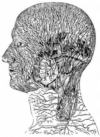 Иван Саркизов-Серазини - Спортивный массаж