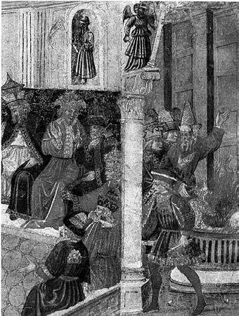 Сборник - Папоротники