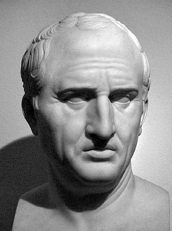 Сборник - Папоротники