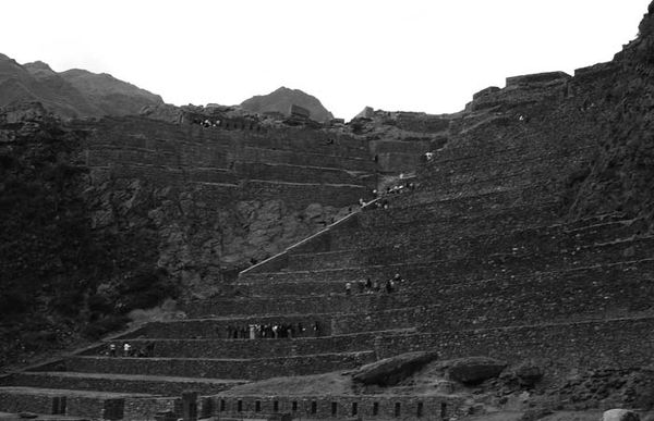 Андрей Скляров - Наска: гигантские рисунки на полях