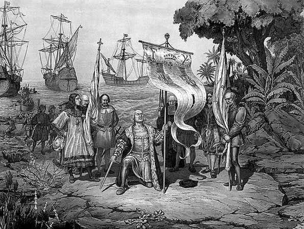 Сборник - Папоротники