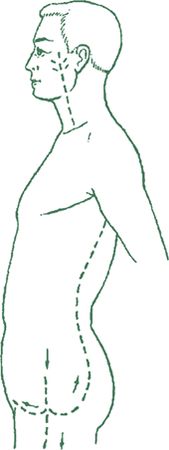 Дина Крупская - Лестница в небо, или Китайская медицина по-русски