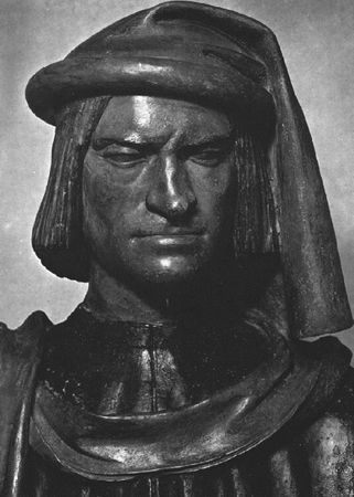 Сборник - Папоротники