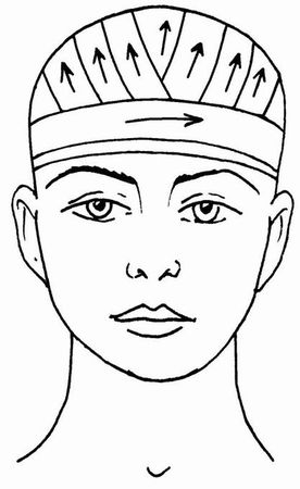 Елена Храмова, Владимир Плисов - Справочник медицинской сестры