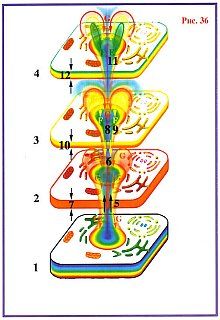 Николай Левашов - Сущность и Разум. Том 1