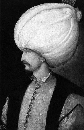 Сборник - Папоротники