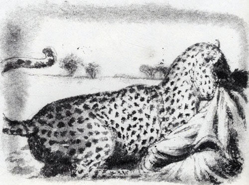 Коллектив авторов - Дикие кошки