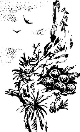 Чарльз Робертс - Каменный век (с иллюстрациями)