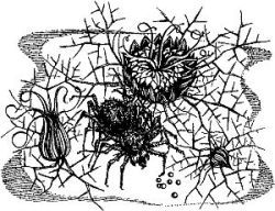 Альфред Ван Вогт, Мюррей Лейнстер и др. - ФАТА-МОРГАНА 2 (Фантастические...