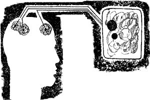 Димитр Пеев, Север Гансовский и др. - ЛУЧШИЙ ИЗ МИРОВ (Сборник НФ 1964 г.)