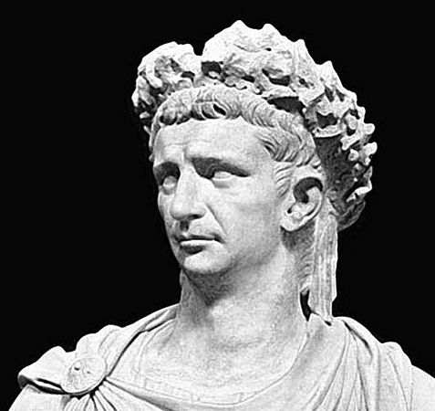 Сборник - Папоротники