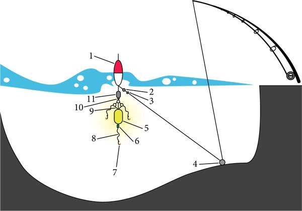 Константин Сторожев - Ловля карпа, леща, толстолобика, белого амура. Секреты и...