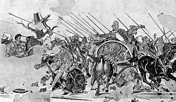 Сборник - Папоротники