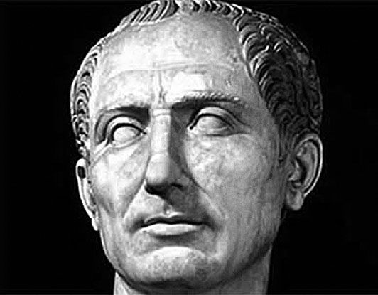 Сборник - Папоротники