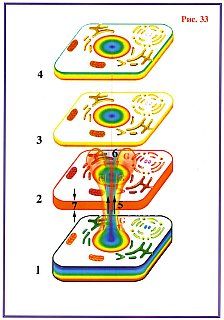 Николай Левашов - Сущность и Разум. Том 1