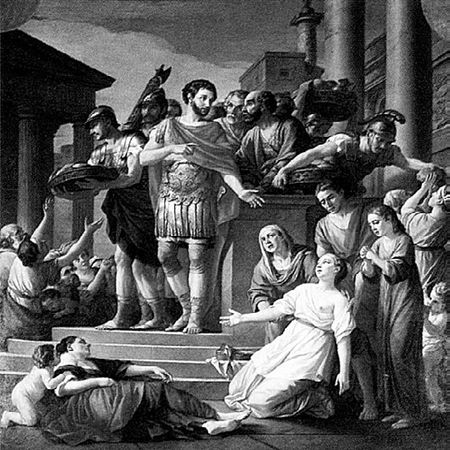 Сборник - Папоротники