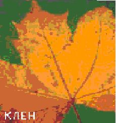 Сергей Бродяга - Инструкция: как изготовить лук своими руками