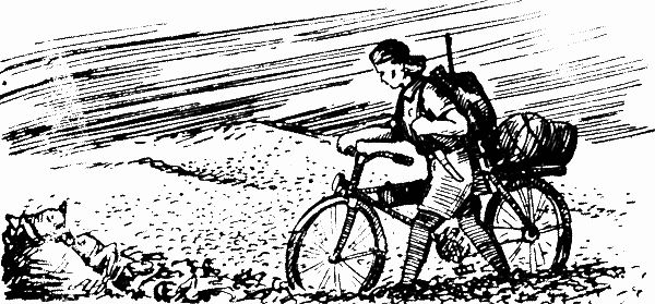 Александр Харитановский - Человек с железным оленем