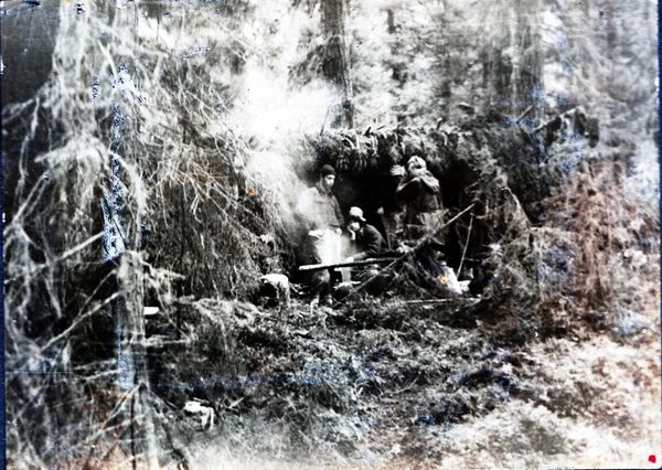 Наталья Притвиц - Саянский дневник