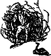 Аркадий Фидлер - Тайна Рио де Оро