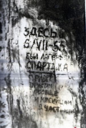 Наталья Притвиц - Саянский дневник