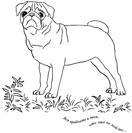 Юлия Меньшикова - Предчувствие тебя (сборник)