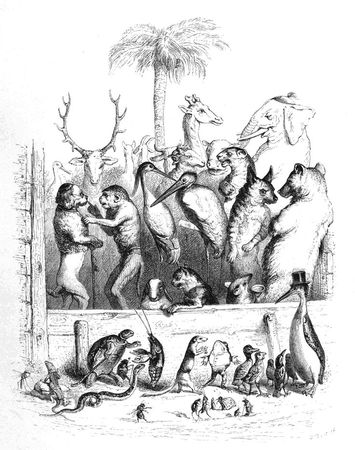 Коллектив авторов - Сцены частной и общественной жизни животных