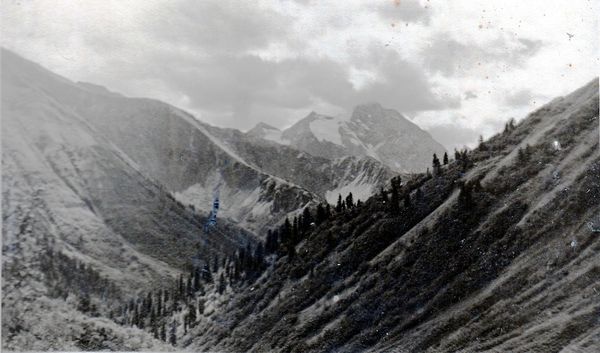 Наталья Притвиц - Саянский дневник