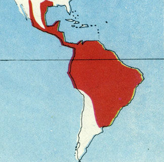 Коллектив авторов - Дикие кошки