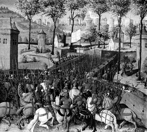 Сборник - Папоротники