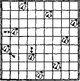 Генри Дьюдени - Пятьсот двадцать головоломок