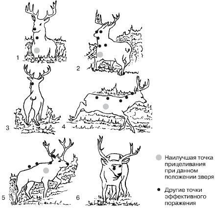 Коллектив Авторов - Способы автономного выживания человека в природе