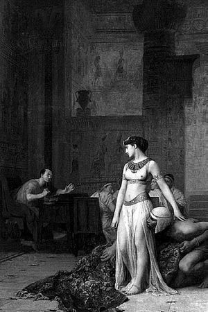 Сборник - Папоротники