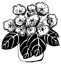 Наталья Логачева, Наталья Шешко - Энциклопедия комнатных растений